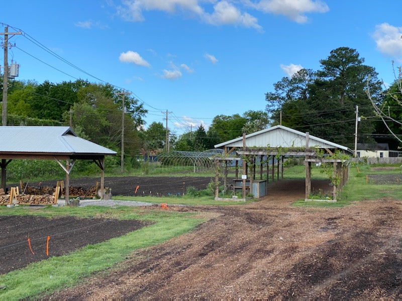 What's Happening on the Farm - April 2020