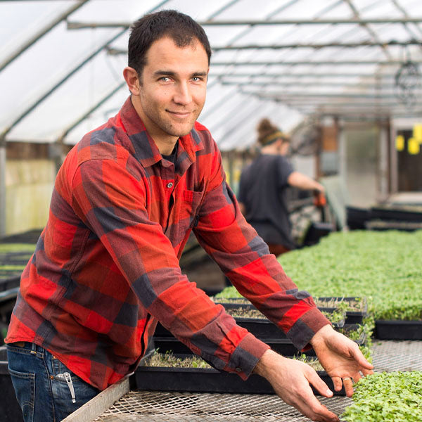 Eric McClam is the owner of City Roots Farm shows off organic greenhouse grown microgreens.