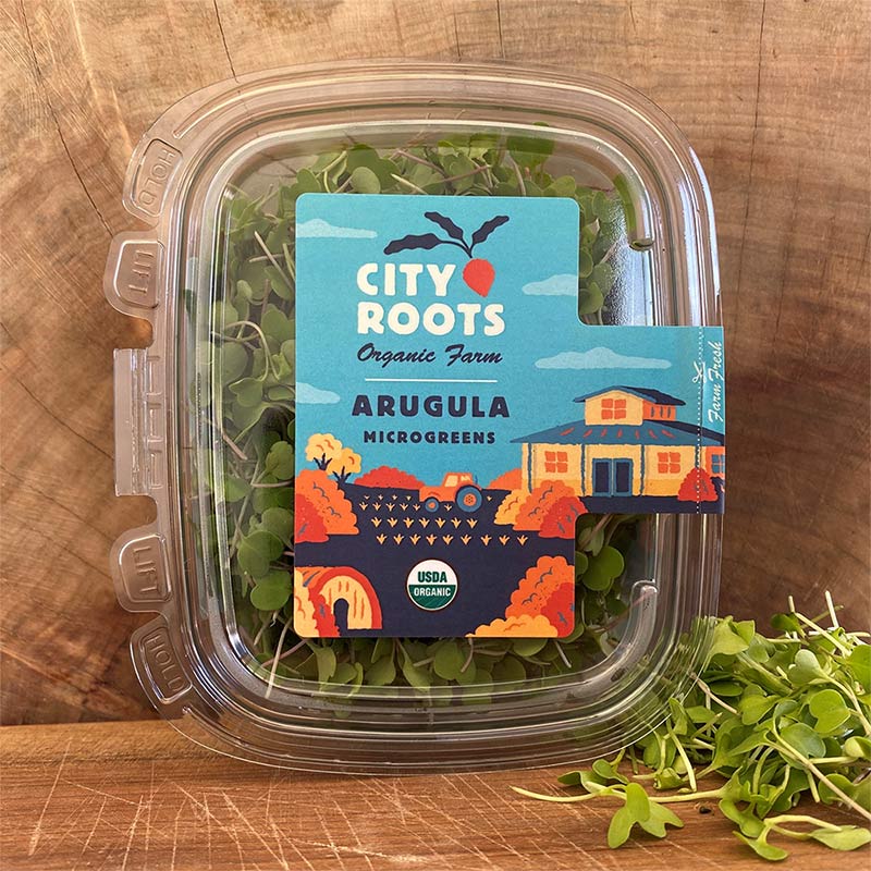 City Roots Farm Organic Arugula Microgreens