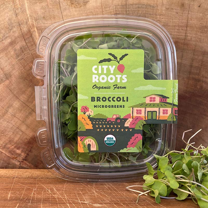City Roots Farm Organic Broccoli Microgreens