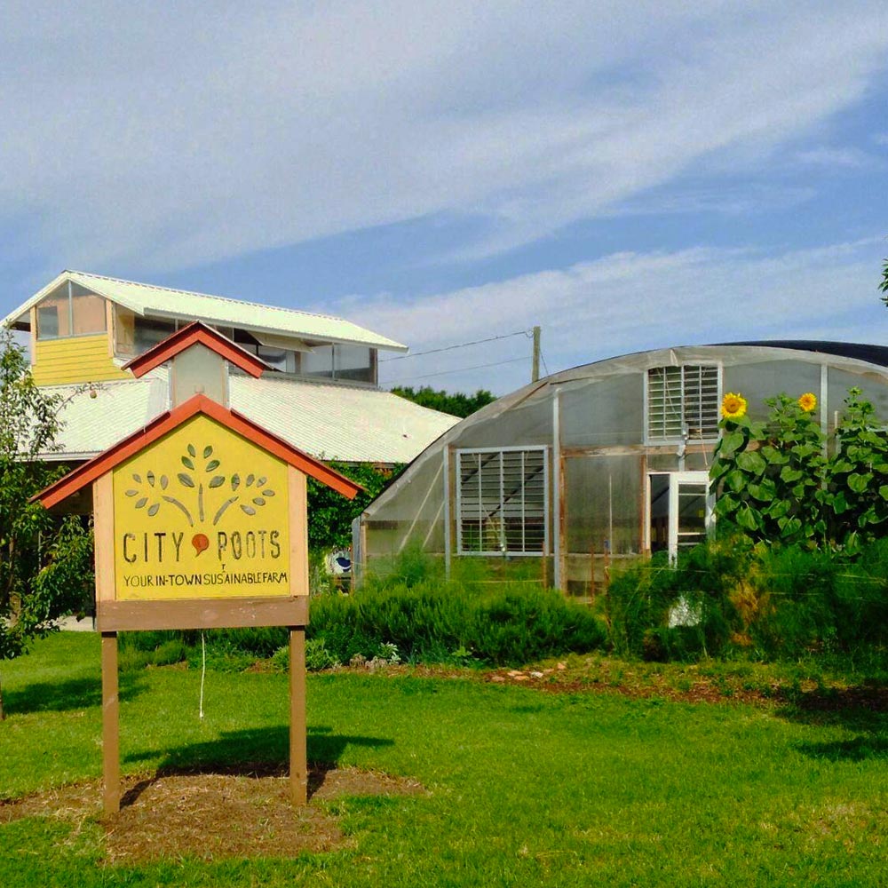 City Roots Organic Farm