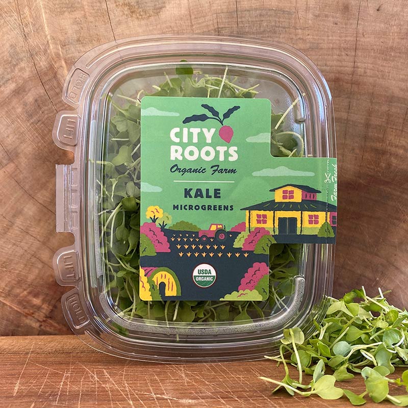 City Roots Farm Organic Kale Microgreens
