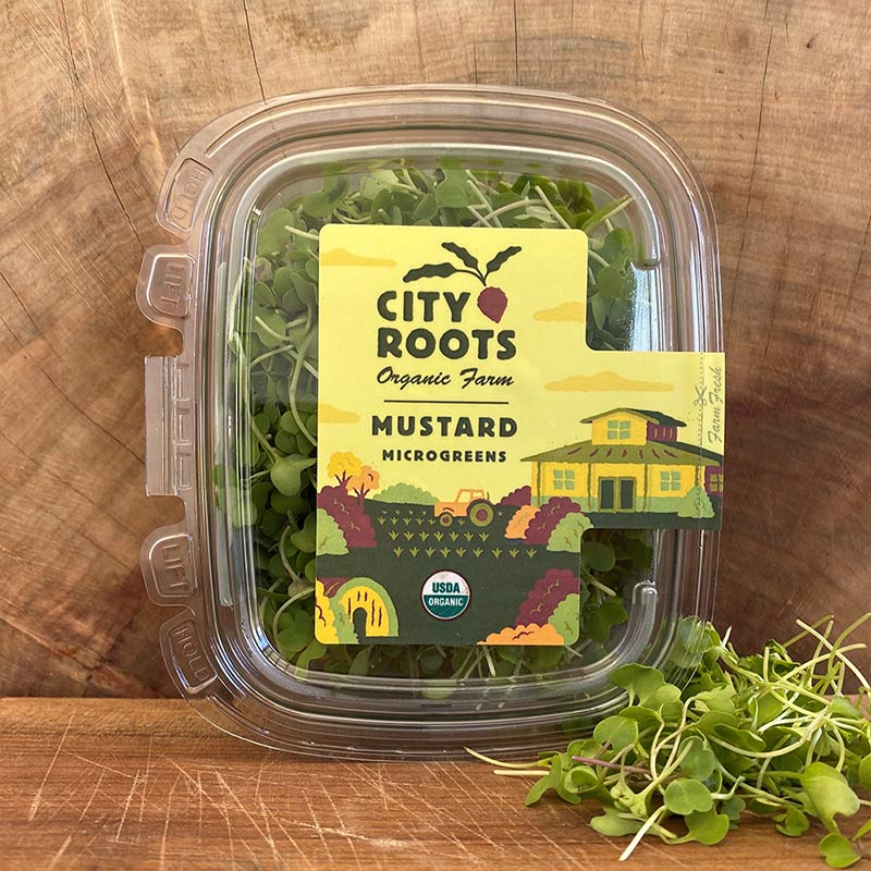 City Roots Farm Organic Mustard Microgreens