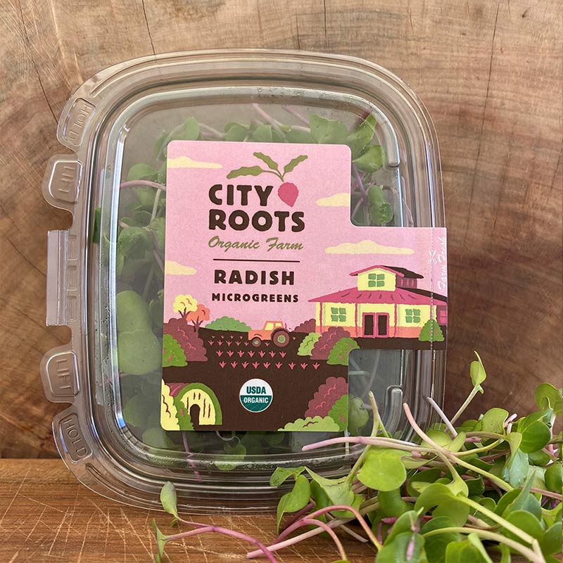 City Roots Farm Organic Radish Microgreens
