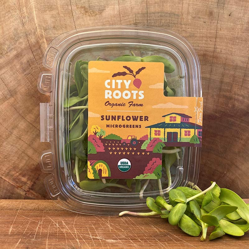 City Roots Farm Organic Sunflower Microgreens